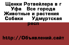 Щенки Ротвейлера в г.Уфа - Все города Животные и растения » Собаки   . Удмуртская респ.